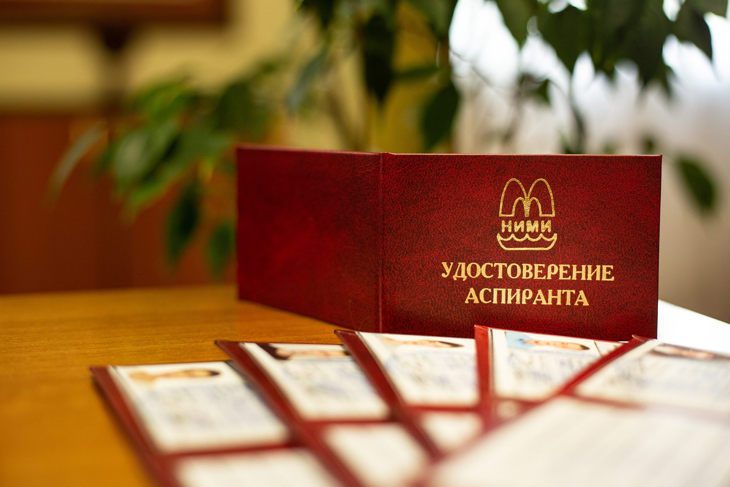 Аспирантура: Мост к Научному Развитию и Профессиональному Росту